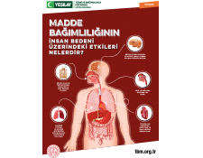 Beyaz dikdörtgen arka fonun ortasında kırmızı renkli ebeveyn afişi var. Afişin kapağında madde bağımlılığının insan vücuduna zararları gösteriliyor.  Fotoğrafın üstünde beyaz renkte "Madde bağımlılığının insan bedeni üzerindeki etkileri nelerdir?" yazıyor.