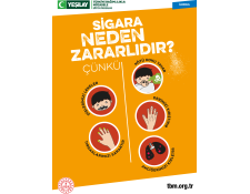 Beyaz dikdörtgen arka fonun ortasında sarı renkli ilkokul afişi var. Afişin kapağında sigaranın neden olduğu zararlar yer alıyor. Afişin üstünde beyaz renkte "Sigara Neden Zararlıdır? Çünkü" yazıyor.