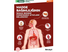 Beyaz dikdörtgen arka fonun ortasında kırmızı renkli yetişkin afişi var. Afişin kapağında madde bağımlılığının insan vücuduna zararları gösteriliyor.  Fotoğrafın üstünde beyaz renkte "Madde bağımlılığının insan bedeni üzerindeki etkileri nelerdir?" yazıyor.