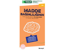 Beyaz dikdörtgen arka fonun ortasında turuncu renkli lise broşürü var. Broşürün kapağında beyin simgesi var. Fotoğrafın üstünde madde bağımlılığıyla ilgili bilgiler yazıyor.