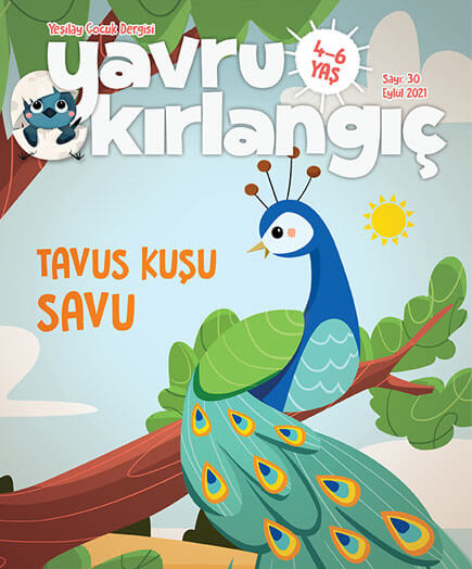 Tavus Kuşu Savu