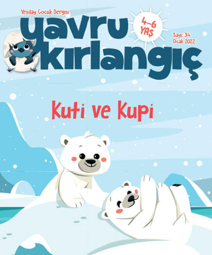 Kuti ve Kupi