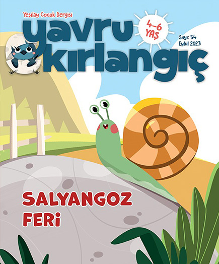 Salyangoz Feri