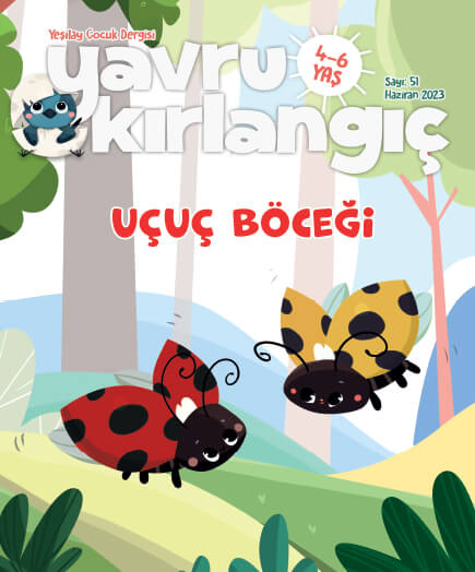 Uçuç Böceği