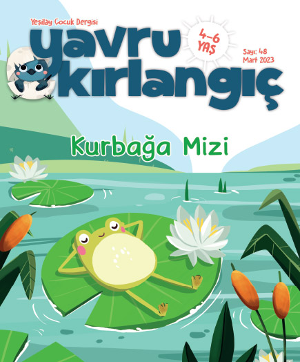 Kurbağa Mizi