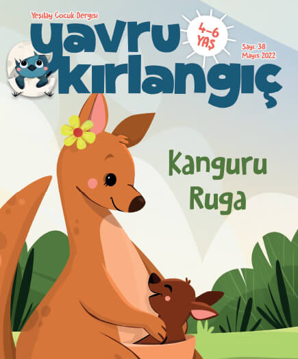 Kanguru Ruka