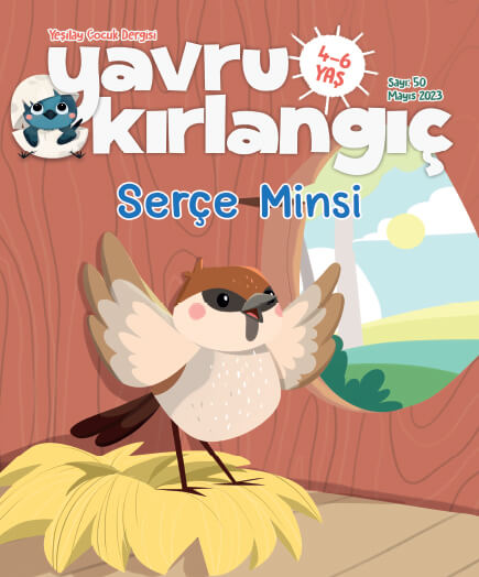 Serçe Minsi