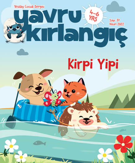 Kirpi Yipi