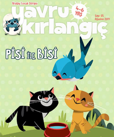 Pisi ile Bisi