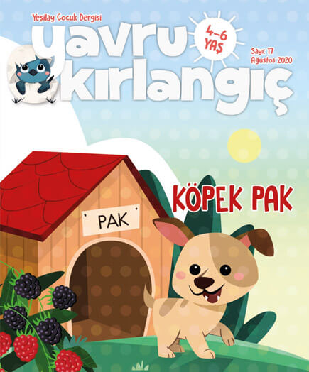 Köpek Pak