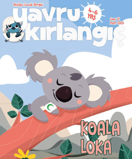 Koala Loka