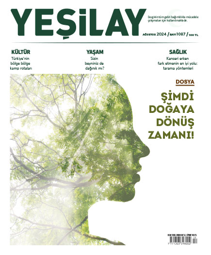 Şimdi Doğaya Dönüş Zamanı