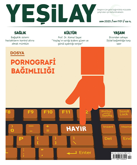Pornografi Bağımlılığı