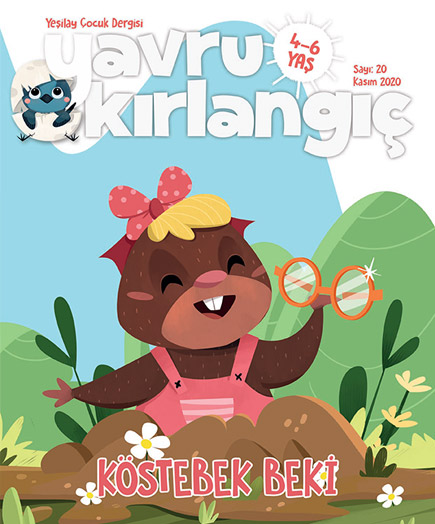 yavru-kirlangic-kasim-2020.jpg