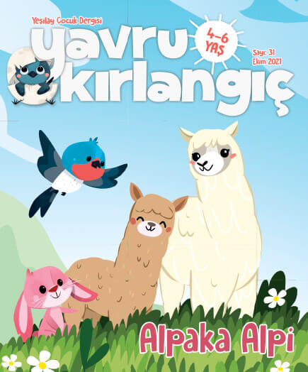 yavru-kirlangic-dergisi-ekim-2021.jpg