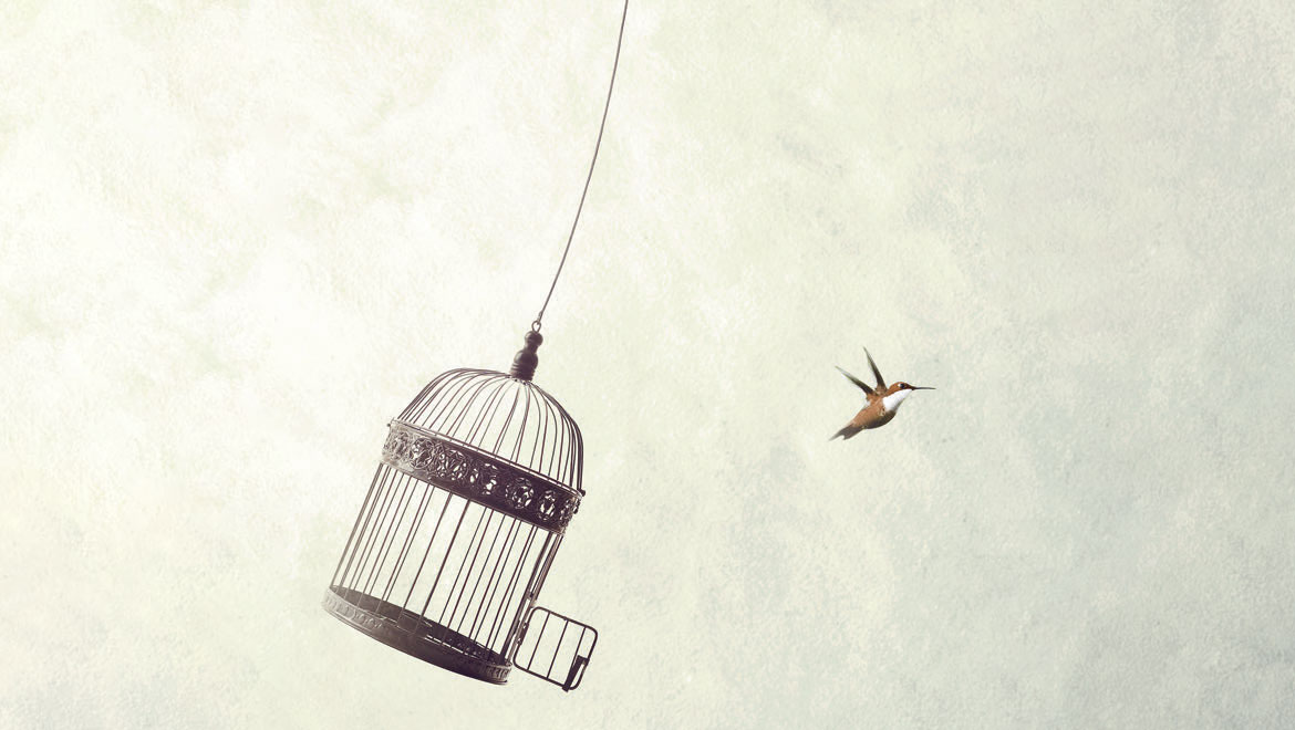 Doğal Yaşama Dönüş Hareketleri