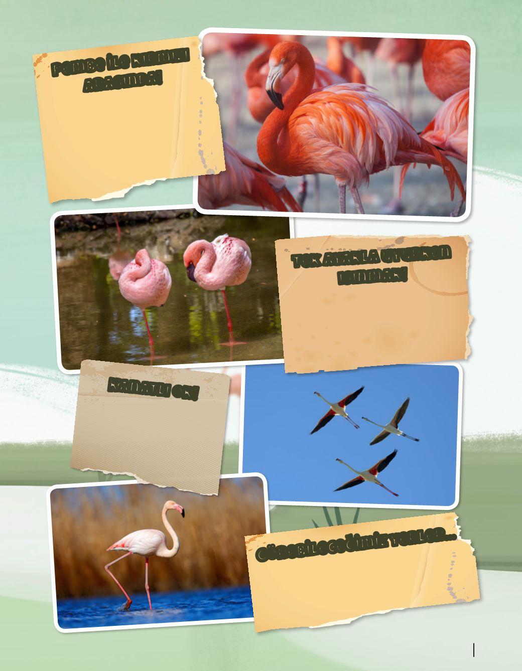 Page Background