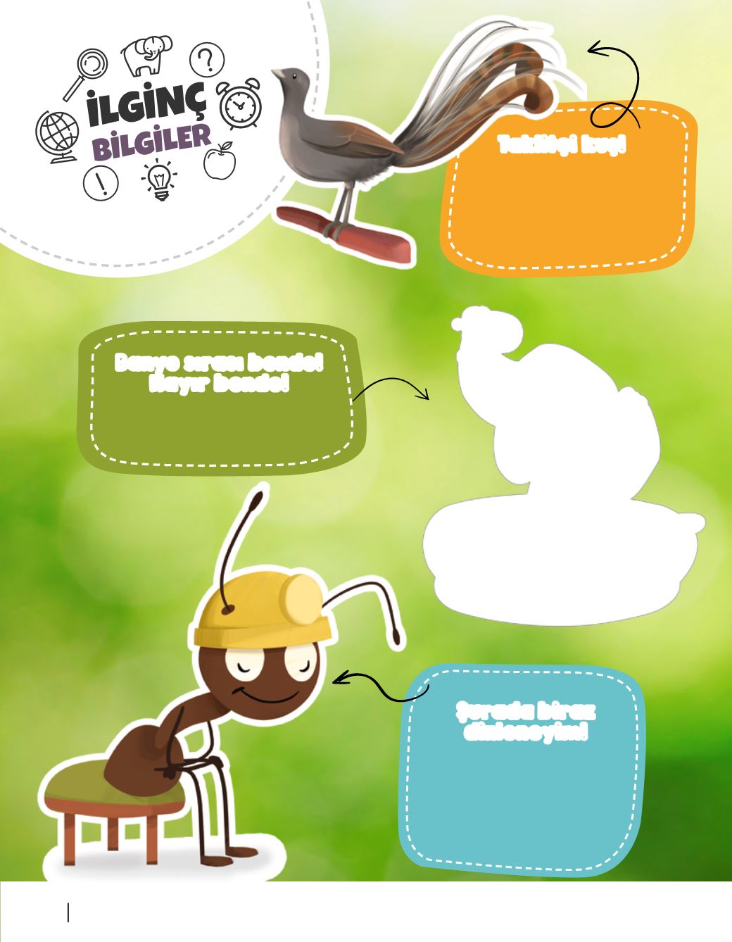 Page Background