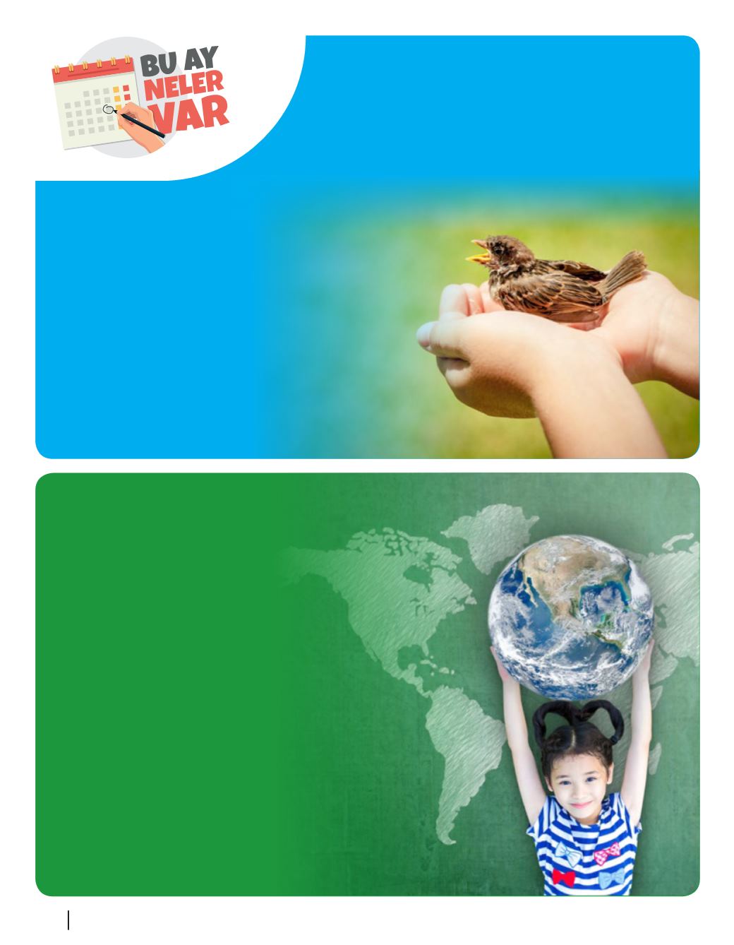 Page Background