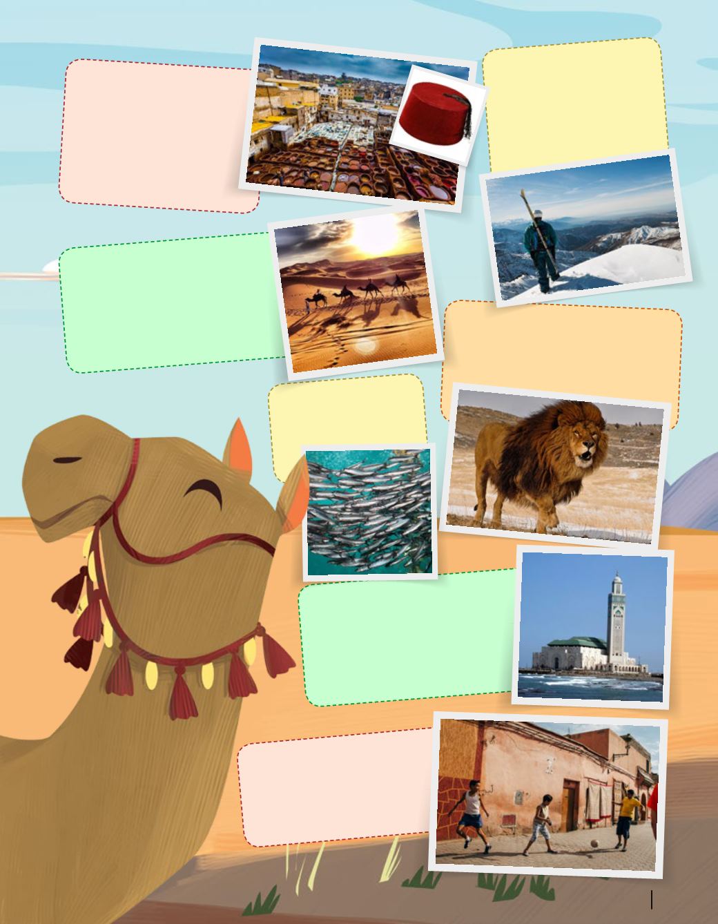 Page Background