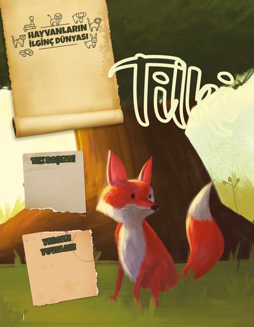 Page Background