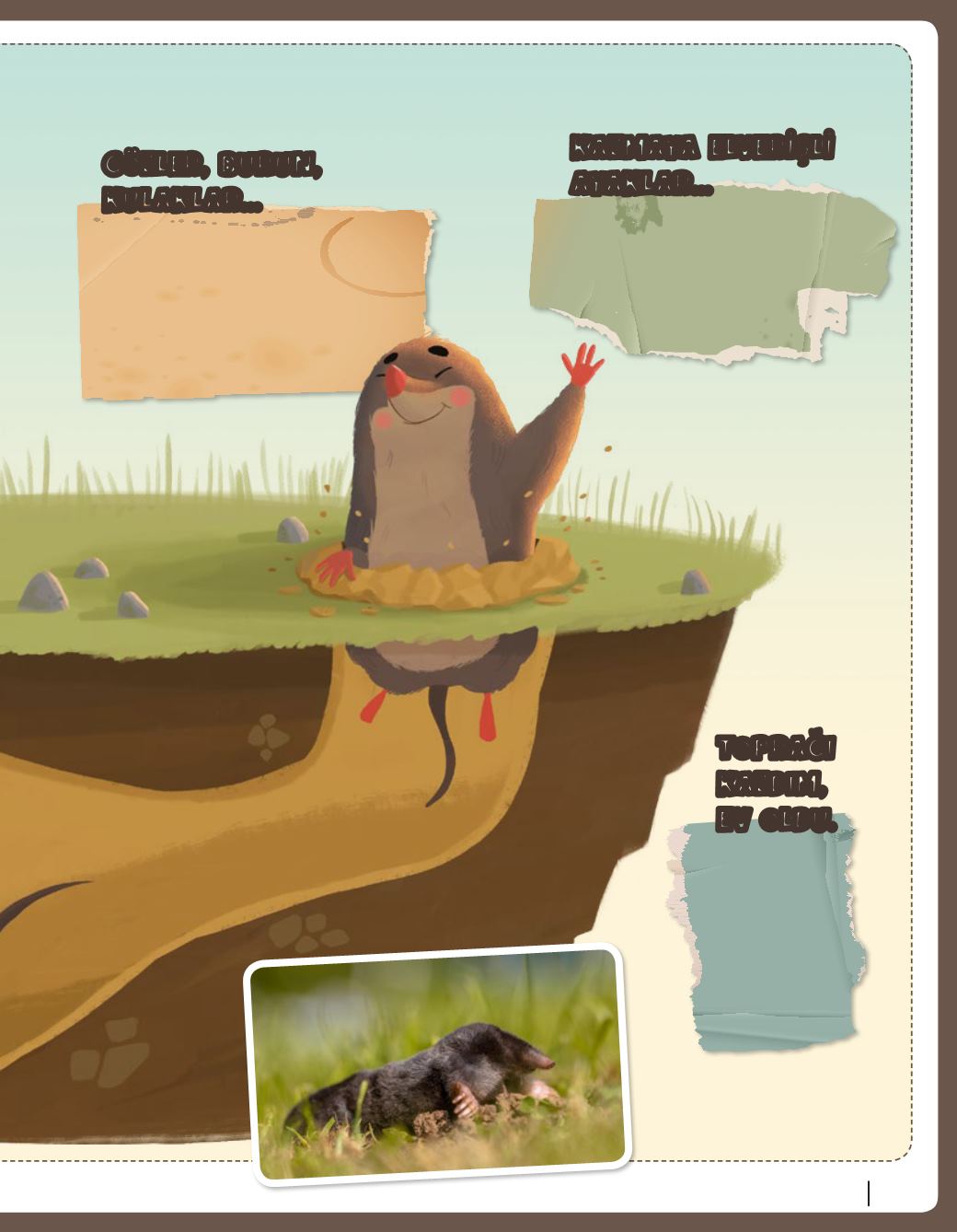Page Background