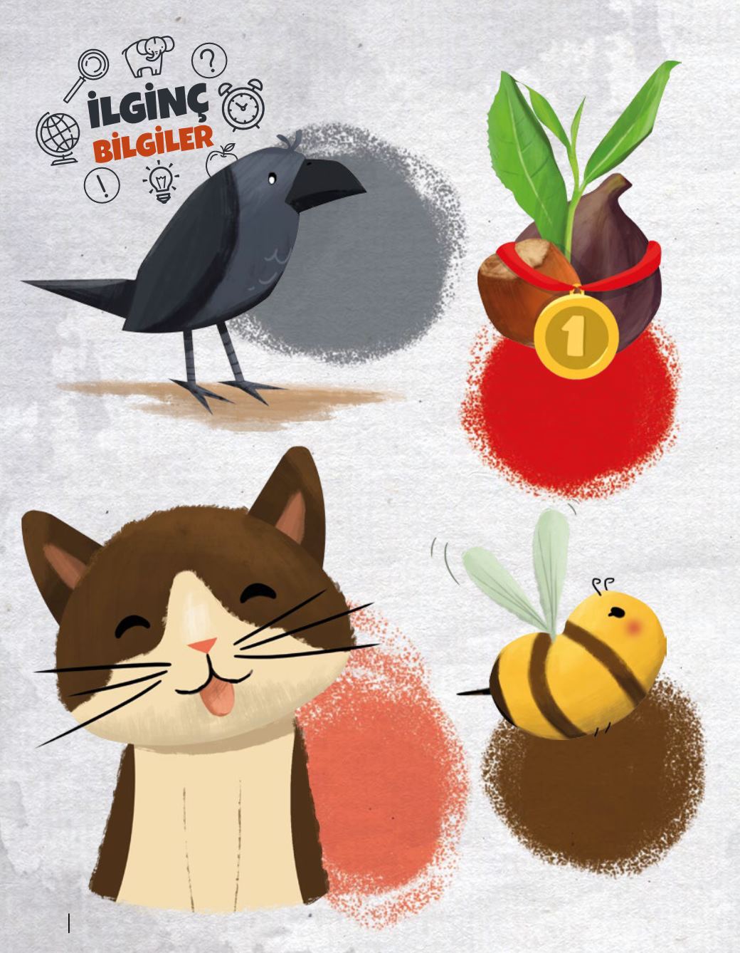 Page Background